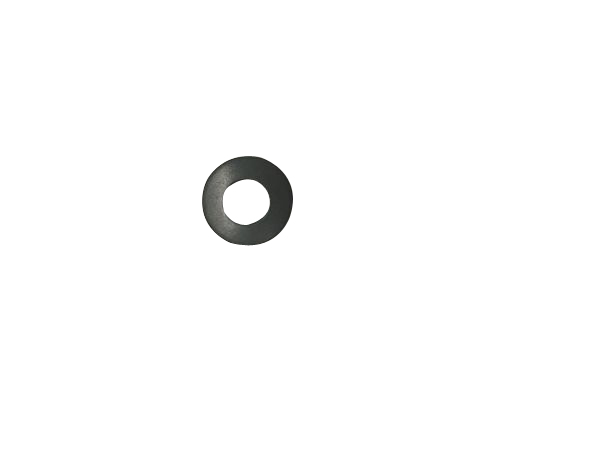 PTFE ring